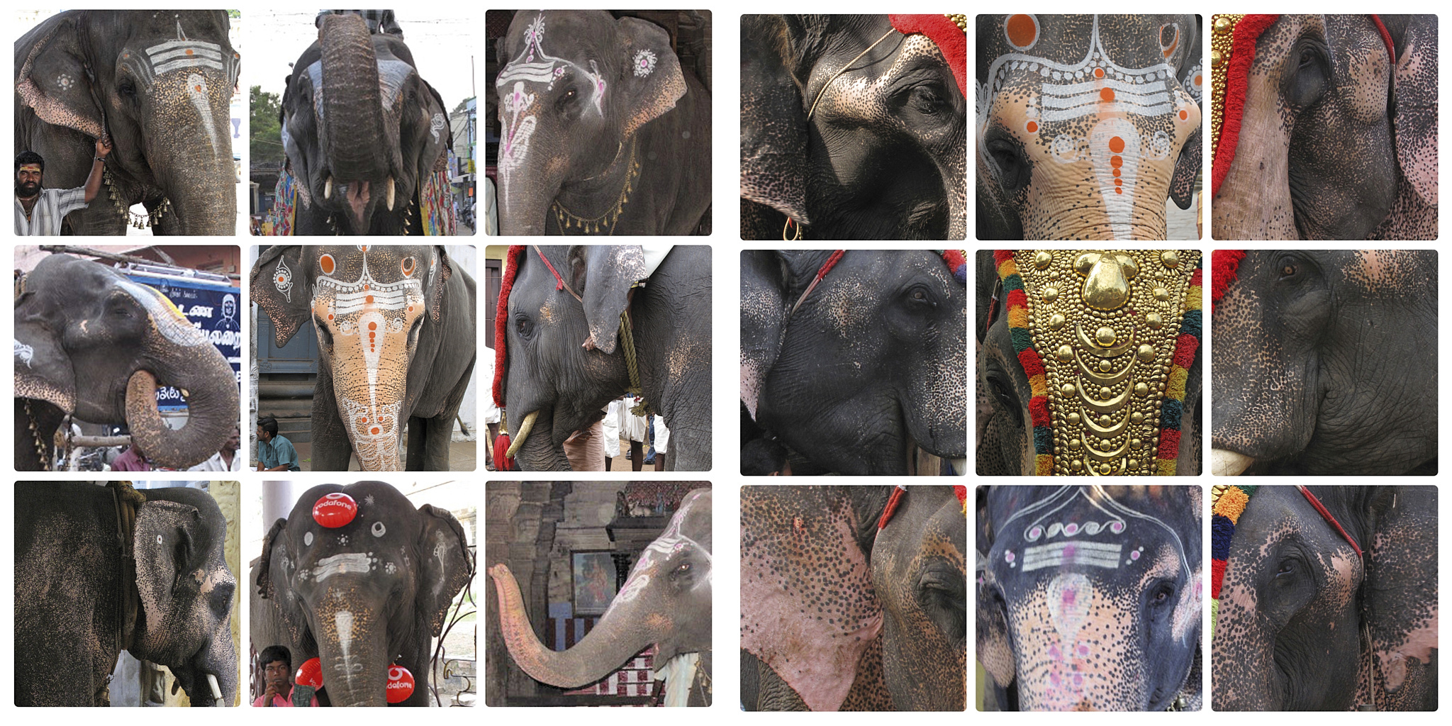 India%20©2021DanielSpehr015